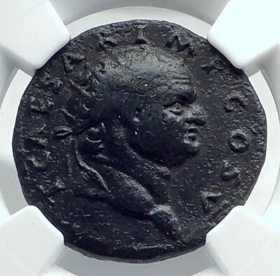 TITUS as Caesar Vespasian 76AD Rome Dupondius Ancient Roman Coin NGC i77646 - Image 1 of 4