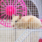Pet Segregation Plate Small Animal Hamster Cage Iron
