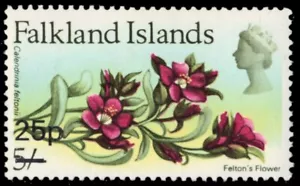 FALKLAND ISLANDS 209 - Felton's Flower "1971 Provisional" (pb85084) - Picture 1 of 1