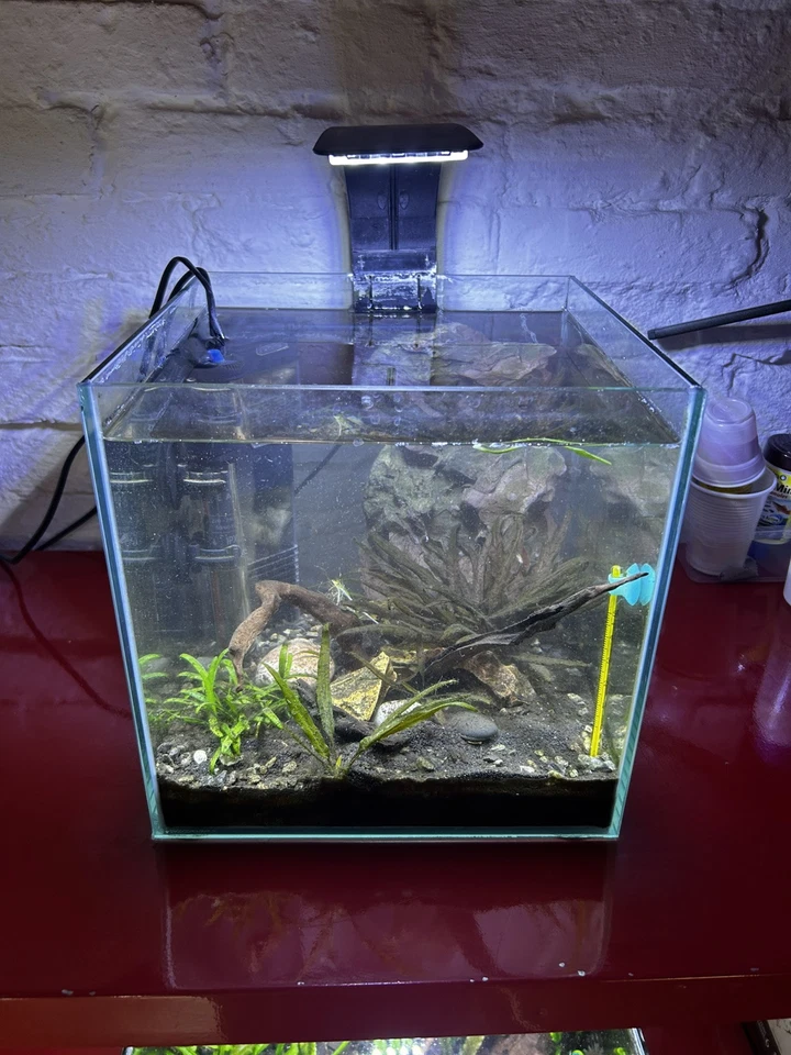 acquario Quadrato completo usato - Immagine 1 di 1