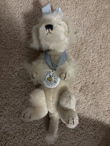 Steiff 1996 Club Edition Hund - Bild 1 von 12