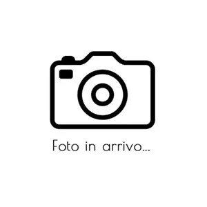 800400023 RICAMBIO CASCO LS2 PINLOCK 70 MAX VISION FF313 VORTEX DKS248 NOVITÁ - Imagen 1 de 1