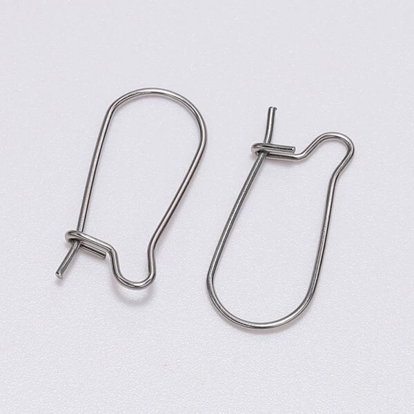 200 шт. 304 серьги-кольца из нержавеющей стали для почек фурнитура сделай сам рукоделие 20x9 мм - Изображение 1 из 1