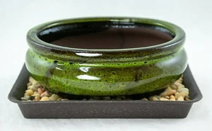 6" Oval Moos Grün Mame Shohin Bonsai, Sukkulenten Topf + Tablett + Stein + Netz Kombination  - Bild 1 von 9