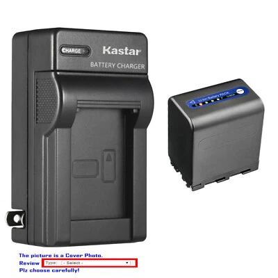 Cargador de pared de CA de batería Kastar para Sony NP-QM91D y Sony Cyber-shot DSC-F707 Foto 1 de 4