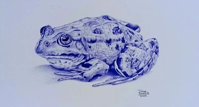 Dibujo bolígrafo original. Foto 1 de 4