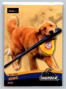 Rookie (bat dog) MiLB 2015 34 Trenton Thunder  Bat Dog