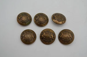 Vintage Domed Metal Shank Button Coat of Arms Lions Crown Shield Set of 6 - Picture 1 of 3
