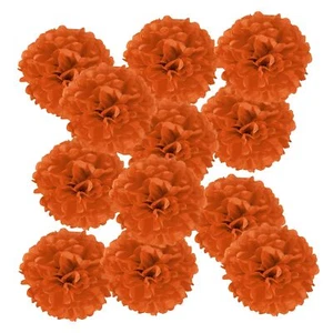 6inch Tissue Paper Pom Poms 12PCS Pom Poms Paper Flowers Ball Tissue Paper Fl... - Picture 1 of 6