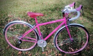 Gunnar By Waterford USA Pink Phase￼Small Road Bike light use a few rides - Picture 1 of 6