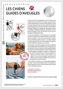 france 2022 guide dogs for the BLIND chiens guides d'aveugles perros 1v DOC PHI - Picture 1 of 1