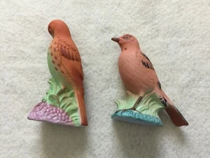 Shaker sale e pepe uccellini colorati - Foto 1 di 4