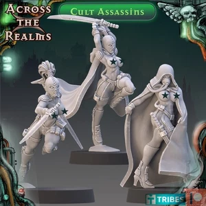 Cult Assassins NSFW (x3)/TTRPG/Wargaming/Grimdark/Across the Realm - Picture 1 of 2