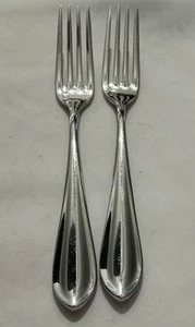 Fortessa Forge Stainless 2pieces - Picture 1 of 2