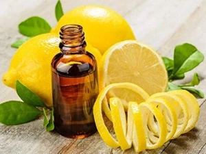 Lemon Oil - Citrus limon - Picture 1 of 2