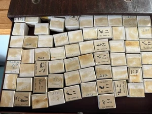 Vintage C. & E. Marshall Company 2 Draw Swiss Watch Material/Systems LOADED CABINET - Bild 1 von 8