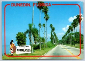 Palm Lined ALT-19, Intracoastal Waterway, Dunedin, Florida, Chrome Postcard - Picture 1 of 2
