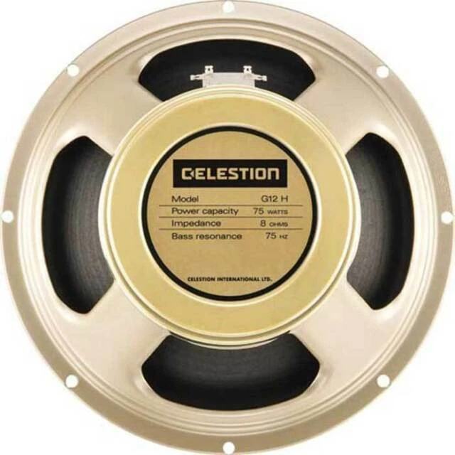 Celestion T5891 12 inch Guitar Speaker