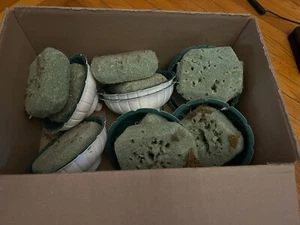 Lot Of 7 Florist Supplies Flower Plastic Inserts To Put In Pots With Styrofoam - Picture 1 of 2