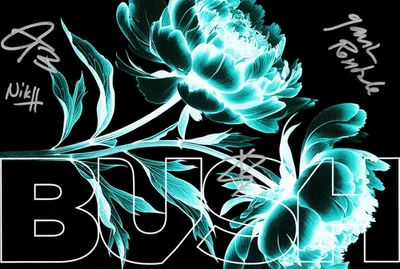 KOMPLETT SIGNIERTES POSTER: BUSH + excl. 7" VINYL LP + GYM-BAG/LAMINATE VIP 2025 - Bild 1 von 4