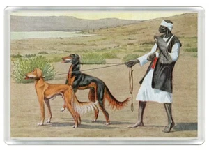 SALUKI MAN AND DOGS DOG PRINT NOVELTY ACRYLIC FRIDGE MAGNET GREAT GIFT - Picture 1 of 1