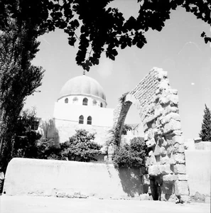 DAMAS c. 1960 - Le Mausolée de Saladin - Négatif 6 x 6 - SYRIE 8 - Bild 1 von 1