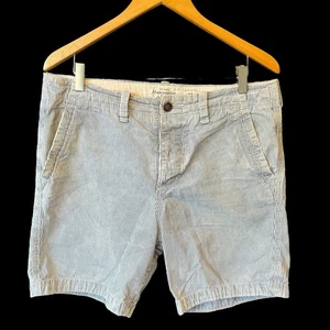 Abercrombie & Fitch shorts 32 Blue white striped Cotton Distressed Faded Mens - Picture 1 of 8
