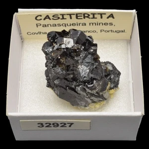 CASITERITA xx (Panasqueira mines, Castelo Branco, Portugal) #32927 / Cassiterite - Picture 1 of 1