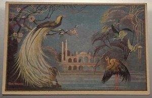 Antike 1911 Künstler signierte Postkarte Les Oiseaux von Ezio Anichini (unbesendet) - Bild 1 von 2