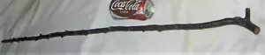 ONE ANTIQUE IRISH BLACKTHORN SHILLELAGH WALKING TREE WOOD ART STICK CANE BLACK - Picture 1 of 12