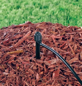 Raindrip 15300UB 30 PSI 24 GPH Adjustable Spray Bubbler 1/4 in. Barb - Picture 1 of 3