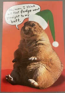 15 Hallmark Shoebox FUDGE BUTT HAMSTER CHRISTMAS CARDS - Picture 1 of 5
