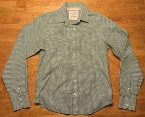Hollister Men's Green & White Striped Long Sleeve Dress Shirt - Size Large - Picture 1 of 12