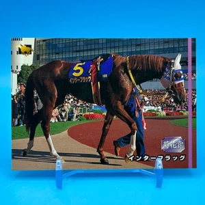 Inter Flag Purosangue Horse Racing TCG Trading Card Retoro Bandai Giappone #60 - Foto 1 di 11