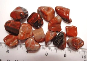 Versteinertes Holz - 14 Trommelsteine rt425a - Bild 1 von 5