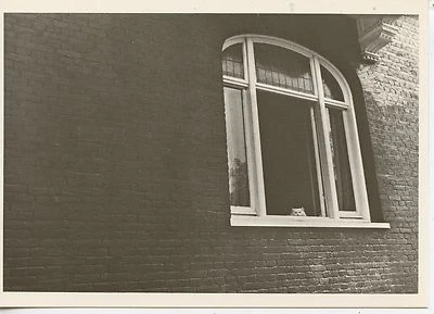 POSTCARD / CARTE POSTALE PHOTO JEAN LUC BARDE SEDENTAIRE FRILEUX / CAT CHAT - Photo 1/3