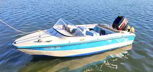 Motorboot Hellwig Triton Jr. mit 40 PS Außenborder Mercury - Bild 1 von 17