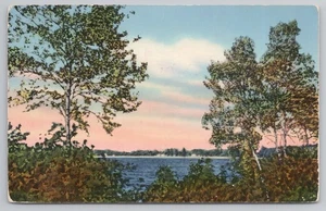 Postal Saludos desde Constantine Michigan Constantine Lake View década de 1940 - Imagen 1 de 2