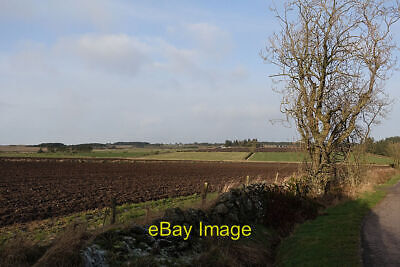 Photo 6x4 Farmland Near Newhall Chapelton/NO8994 Looking North Towards Q C2022 • 2.48£