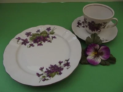 Winterling-Marktleuthen, Veilchen * Kaffeegedeck, 3-teilig * - Bild 1 von 4