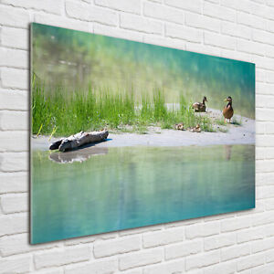 Wandbild aus Plexiglas® Druck auf Acryl 100x70 Tiere Enten Wasser