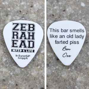 Zebrahead - Selección de guitarra edición gira Ben Osmundson - MFZB 4 LIFE - Imagen 1 de 1