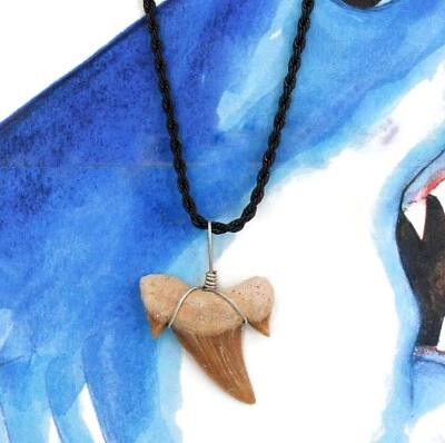 Ожерелье с зубами ископаемой акулы черная веревочная цепочка 24 дюйма 9035BLK-MXL - Изображение 1 из 4