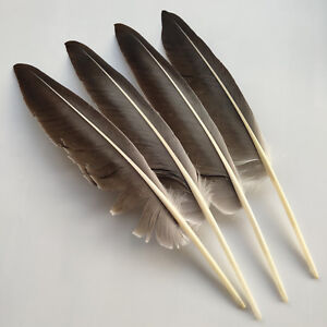 10/50/100pcs Beautiful 10-14 inches/25-35 cm Natural Turkey Feathers Decoration