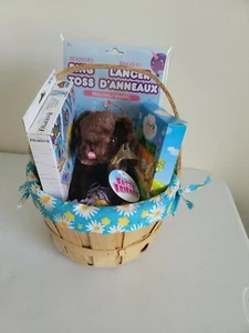 Easter basket bunny, toys & chocolate - Picture 1 of 2