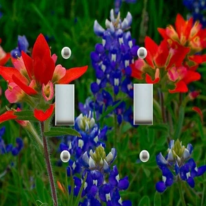 Light Switch Plate Cover HOME DECOR ~ TEXAS BLUEBONNET INDIAN PAINTBRUSH FLOWER - Picture 1 of 26
