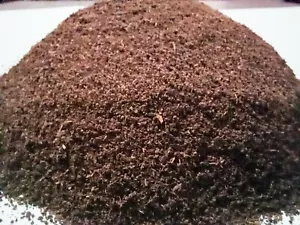 Ceylon Black Tea - BOP Quality - Picture 1 of 6