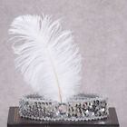 Cute Feather Headband Flapper Sequin Headpiece Costume Head Band Different Color