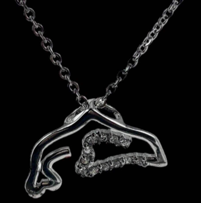 COLLANA DELFINO DONNA CATENINA IN ACCIAIO INOSSIDABILE E CIONDOLO IN ARGENTO 925 - Immagine 1 di 4