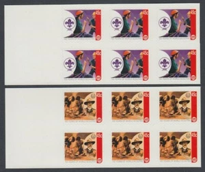 NEW ZEALAND CAL 2007 SCOUTS 45c BLOCKS OF 6 MINT (ID:71-828/11A) - Picture 1 of 1